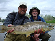 Montana Brown Trout Caught & Released