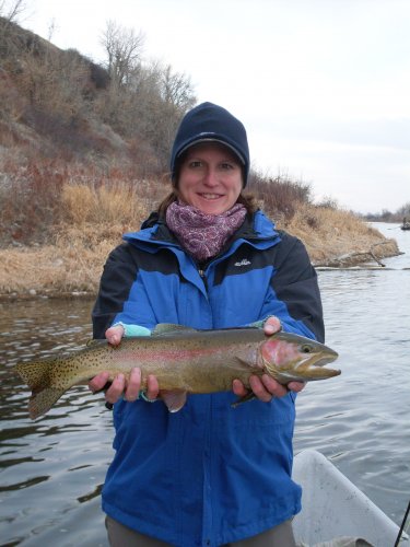 Montana Fly Fishing in February