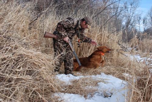 Chief and I hunting geese near Billings.