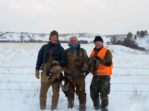 Bird Hunting in South Central Montana