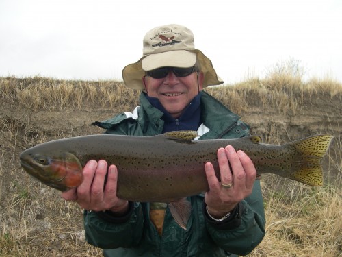 Rainbow on a Streamer!  Nice Fish!