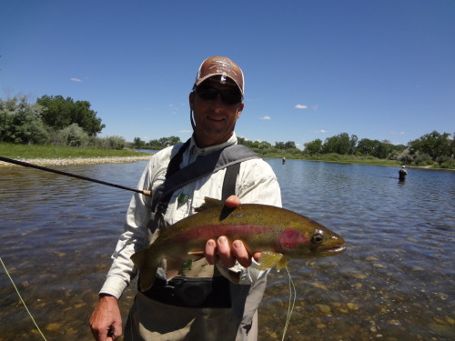 John with beautiful bow!