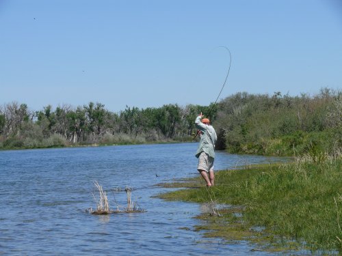 John catching a trout.