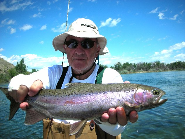 Beautiful Bighorn Rainbow